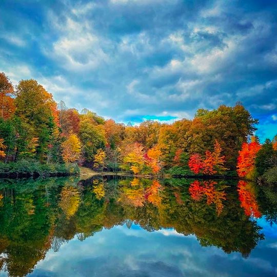 lake scene with fall foliage